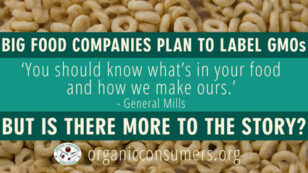Big Food Says They Will Label GMOs … But Is There More to the Story?