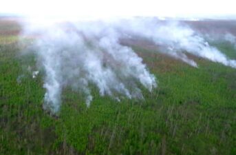 Smoke From Wildfires Reaches North Pole for First Time in History