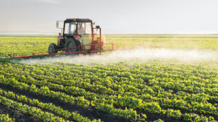 EPA Evades Public Comment Period, Allows Cancer-Causing Pesticide