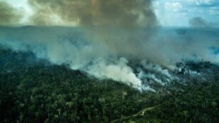 Amazon Deforestation Jumps Sharply in April