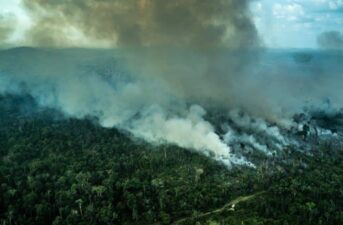 Amazon Deforestation Jumps Sharply in April