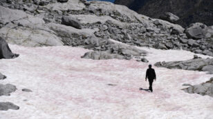 Pink Snow in the Italian Alps Means Trouble, Scientists Say