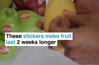 This Simple Solution Will Keep Fruit Fresh for Longer – and Help Avoid Food Waste