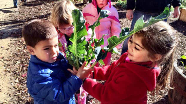 Every Month Is Farm to School Month at This DC School