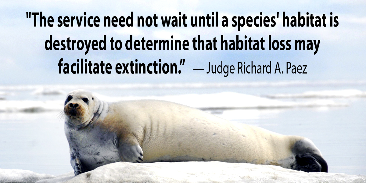 Appeals Court: Animals Can Be Listed as Threatened Based on Climate Change Risk