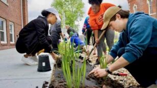 Knox College Students Build Rain Gardens for Their Campus