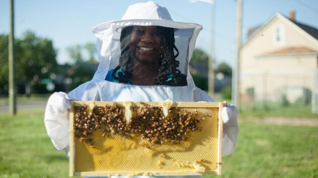 Detroit’s Newest Industrial Workers: Bees