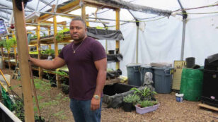 Urban Farming Organization Visualizes a Franchise Model to Produce Fresh Fish and Vegetables