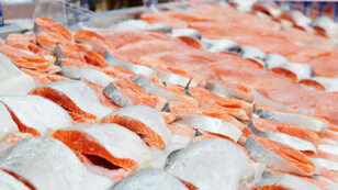 More Big Retailers Say ‘No’ to GMO Salmon