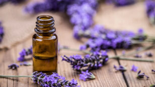 1 Pound of Essential Oil = 250 Pounds of Lavender