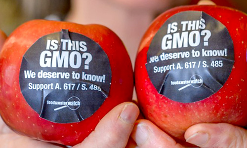 DARK Act Compromise Could Preempt Vermont’s GMO Label Law