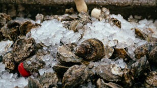 Extreme Weather Threatens Wild Gulf Coast Oysters