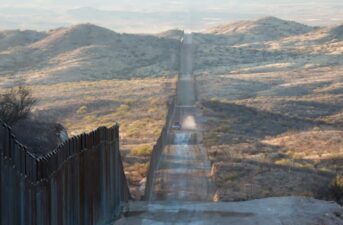 Artificial Border Walls Impede Wildlife Adapting to Climate Change