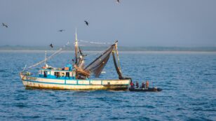 Sea Shepherd and Peruvian Government Intercept Illegal Fishing Vessels