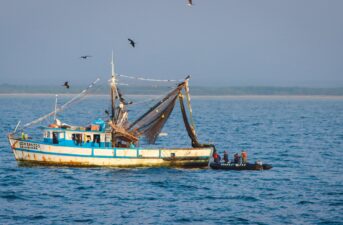 Sea Shepherd and Peruvian Government Intercept Illegal Fishing Vessels