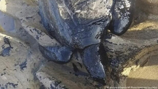 Source of Vast Oil Spill Covering Brazil’s Northeast Coast Unknown