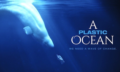 4 Year Global Journey Ends in Must-See Documentary: ‘A Plastic Ocean’