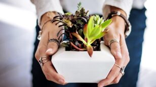6 Simple, Eco-Friendly Gift Ideas for Mother’s Day