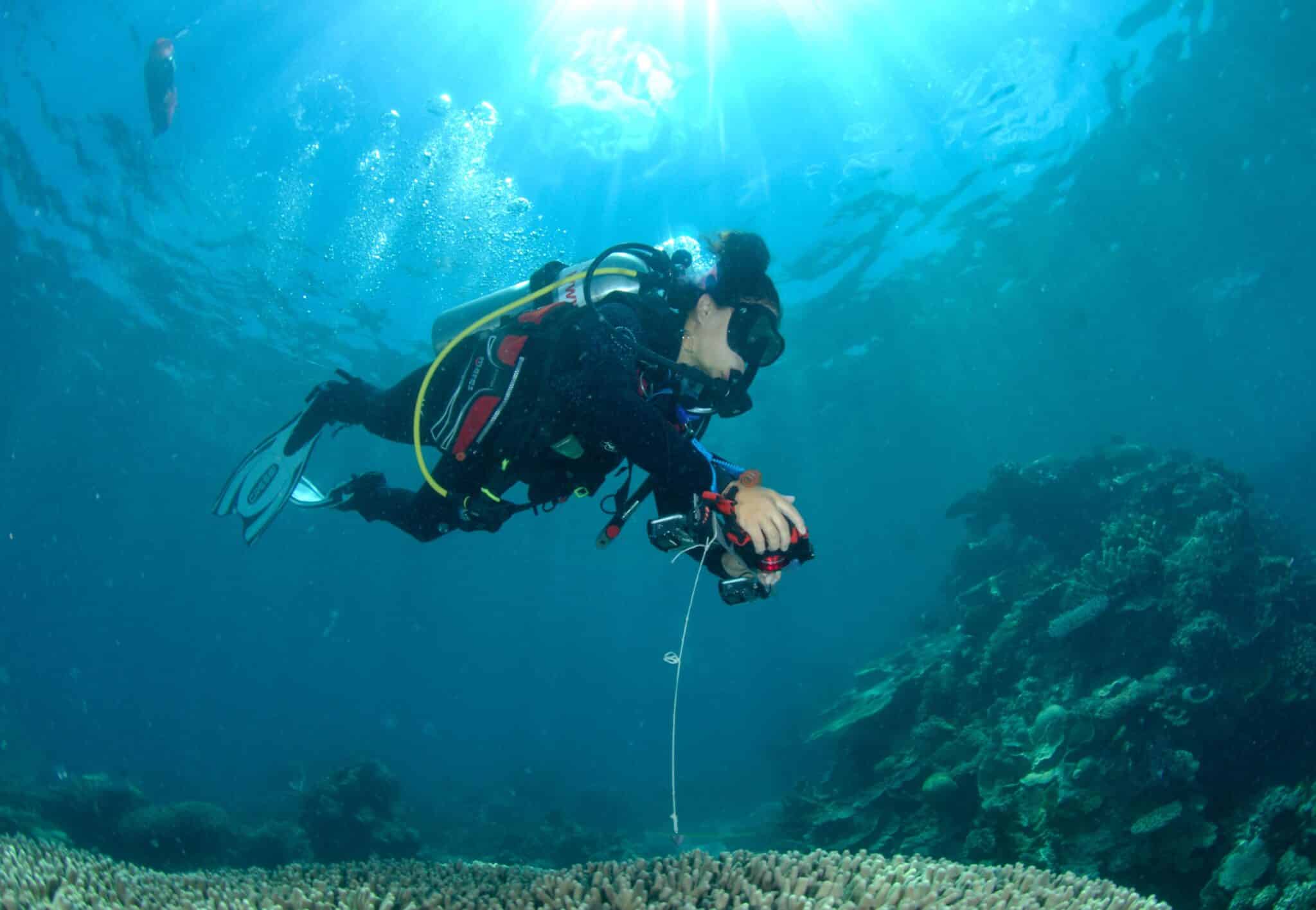 A diver collects data from the Far Northern Great Barrier Reef.