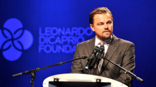 Leonardo DiCaprio Foundation Awards $20M in Largest-Ever Portfolio of Environmental Grants