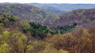 Groups Sue Feds to Halt Fracking in Ohio’s Only National Forest