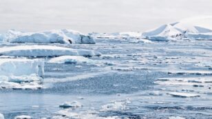Scientists Link Southern Ocean’s Rapid Warming to Human Activity