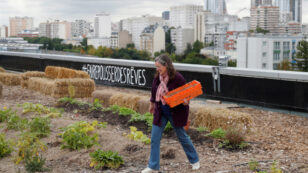 Grow Your Own: Urban Farming is Flourishing During the Coronavirus Lockdowns