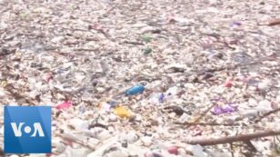 ‘Trash Tsunami’ Washes up on Honduran Beaches