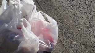 Texas Supreme Court Rules Cities Cannot Ban Plastic Bags
