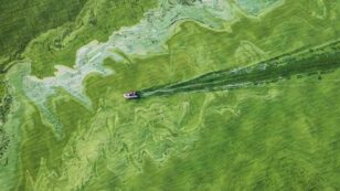 Solving Lake Erie’s Toxic Algae Bloom Crisis
