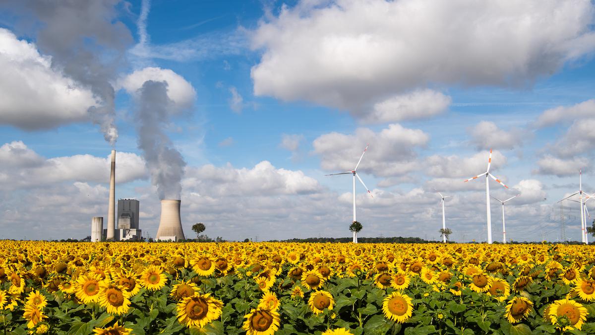 A field of sunflowers near the Mehrum coal-fired power station, wind turbines and high-voltage lines in Germany.
