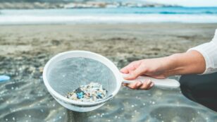 Paint: The Big Source of Ocean Microplastics You Didn’t Know About