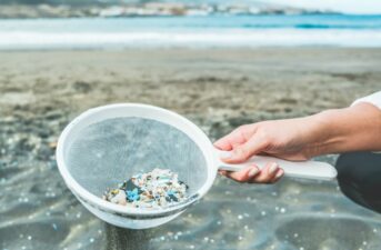 Paint: The Big Source of Ocean Microplastics You Didn’t Know About