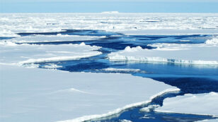 Scientists Say Arctic Sea Ice Could ‘Shrink to Record Low’ This Summer