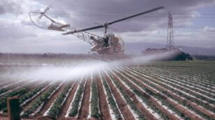 Study Links Pesticide Exposure to Childhood Central Nervous System Tumors