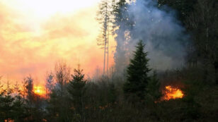 Early-Season Wildfire Threatens Homes, Buildings in Oregon