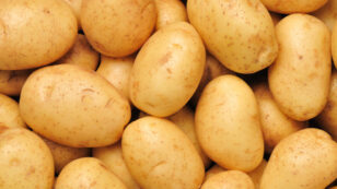 USDA Approves 2 New Varieties of GMO Potatoes