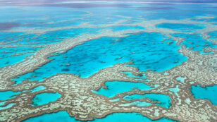 Great Barrier Reef Authority Warns That Climate Action Is Needed Urgently