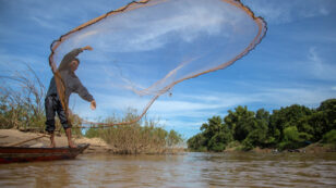 Planned Mega-Dam Threatens Fish Populations and Food Security in Cambodia
