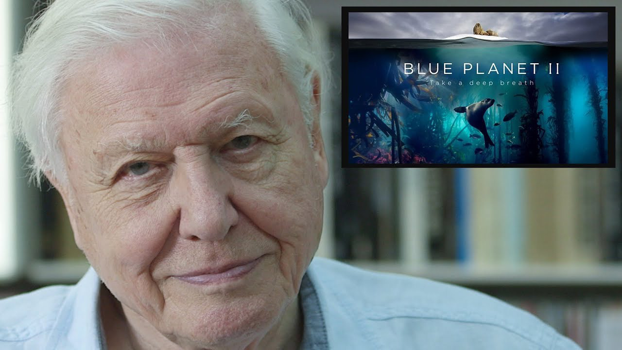David Attenborough Urges World to Cut Plastics to Save Our Oceans ...