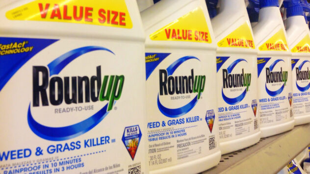 Roundup Cancer Settlement Hits Snag Over Future Plaintiffs’ Rights