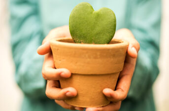 5 Eco-Friendly Valentine’s Gift Ideas
