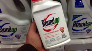 Judge to Decide if Monsanto Roundup Cancer Lawsuits Move Forward at Crucial Hearing