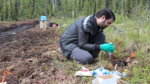 Climate Crisis Could Change Permafrost Soil Microbes, With ‘Unknown Consequences’ for Arctic Ecosystems, Scientists Say