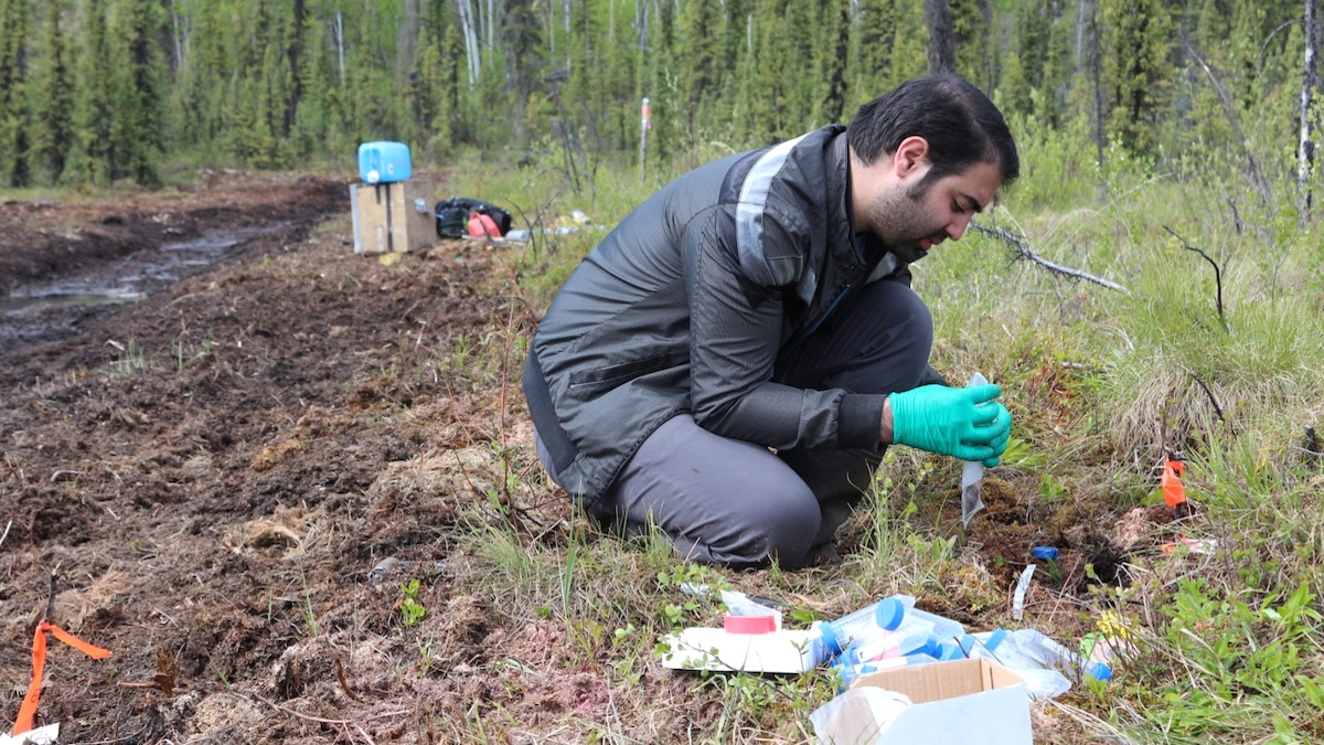 Climate Crisis Could Change Permafrost Soil Microbes, With ‘Unknown Consequences’ for Arctic Ecosystems, Scientists Say