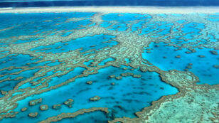 Extensive Coral Bleaching in the Pacific Shocks Scientists