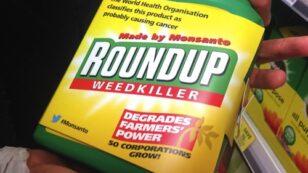 UN Says Glyphosate ‘Unlikely’ to Cause Cancer, Industry Ties to Report Called Into Question