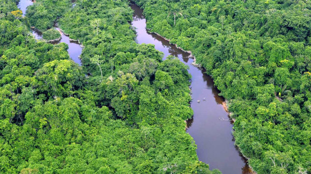 Conservation Goal for the Amazon Exceeded: More Than 60 Million Hectares Protected