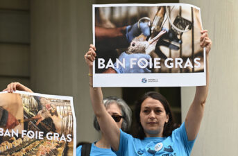 New York City to Ban Foie Gras