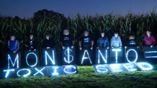 Monsanto and the Poisonous Cartel of GMOs in India